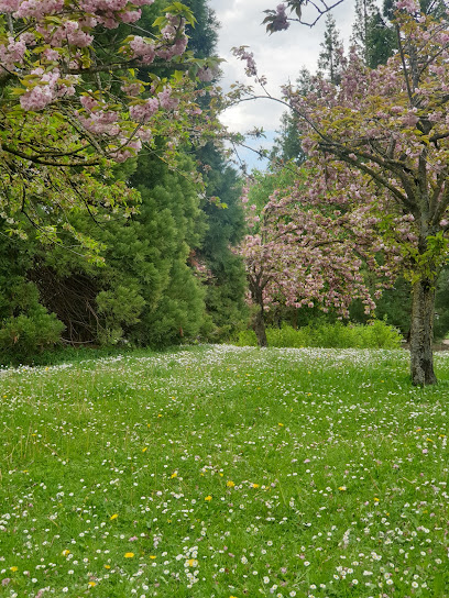 Imagen de Parque Ariznavarra situado en Vitoria-Gasteiz, Álava