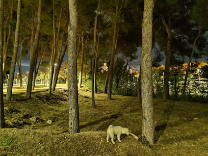 Imagen de Parque Arzobispo José Delicado Baeza situado en Almansa, Albacete