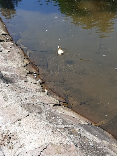 Imagen de Parque De Los Patos situado en Pradoluengo, Burgos