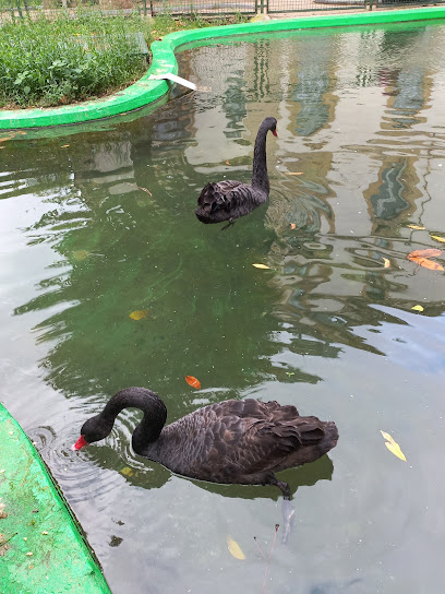 Imagen de Parque De Los Patos situado en Zarautz, Gipuzkoa