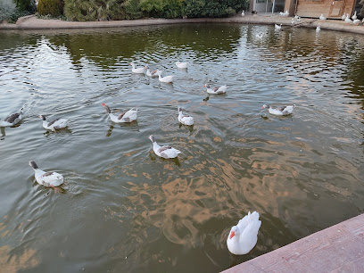 Imagen de Parque Del Cespín situado en Yecla, Murcia