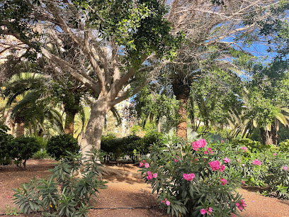 Imagen de Parque El Quijote situado en Santa Cruz de Tenerife, Santa Cruz de Tenerife