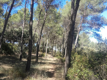 Imagen de Parque Forestal La Atalaya situado en Ciudad Real, Ciudad Real