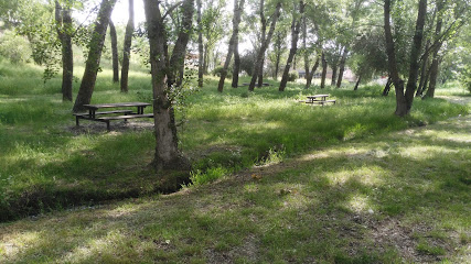 Imagen de Parque Forestal de Fuente El Sol situado en Valladolid, Valladolid