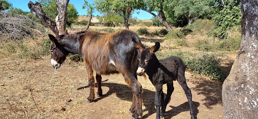 Imagen de Parque Infantil situado en Aldea del Obispo, Salamanca