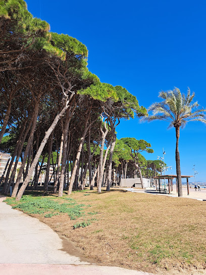 Imagen de Parque Infantil situado en La Pineda, Tarragona