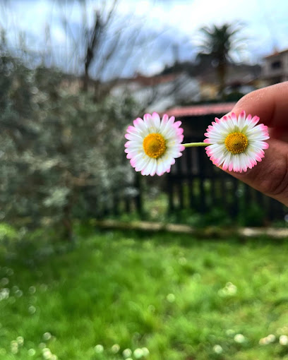 Imagen de Parque Infantil Mariano Aragón situado en Tres Cantos, Madrid