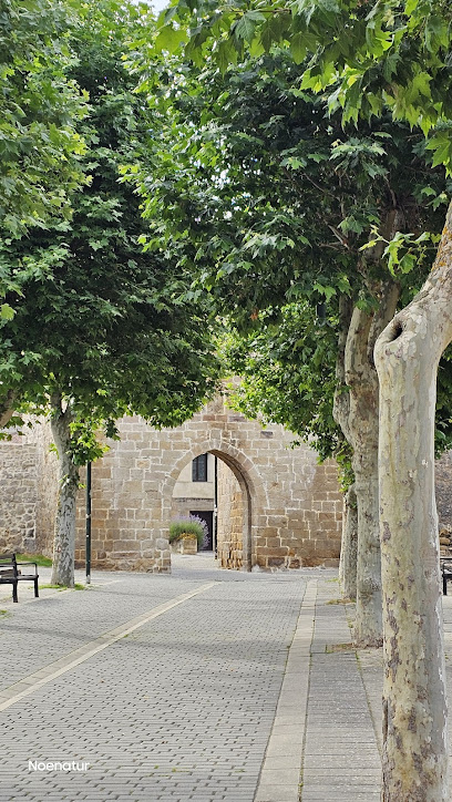 Imagen de Parque Infantil Paseo del Monasterio situado en Aguilar de Campoo, Palencia