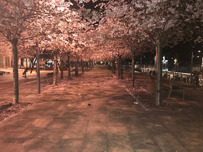 Imagen de Parque Infantil Plaza Maria Zambrano situado en Donostia-San Sebastian, Gipuzkoa