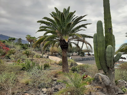 Imagen de Parque Infantil de Playa Jardín situado en Puerto de la Cruz, Santa Cruz de Tenerife