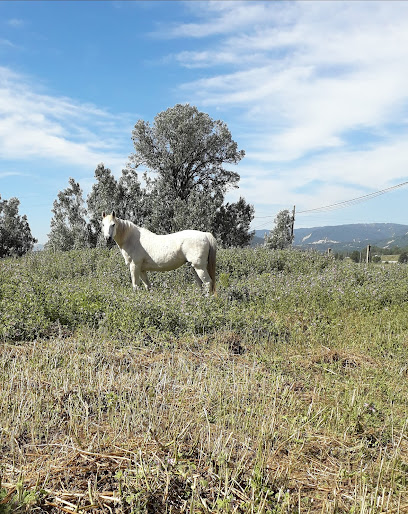 Imagen de Parque Infantil sierra de Senfern situado en Vic, Barcelona