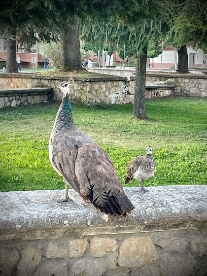 Imagen de Parque Javier Cortes situado en Saldaña, Palencia