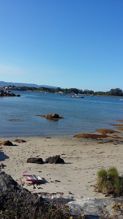 Imagen de Parque Julio Camba situado en Vilanova de Arousa, Pontevedra