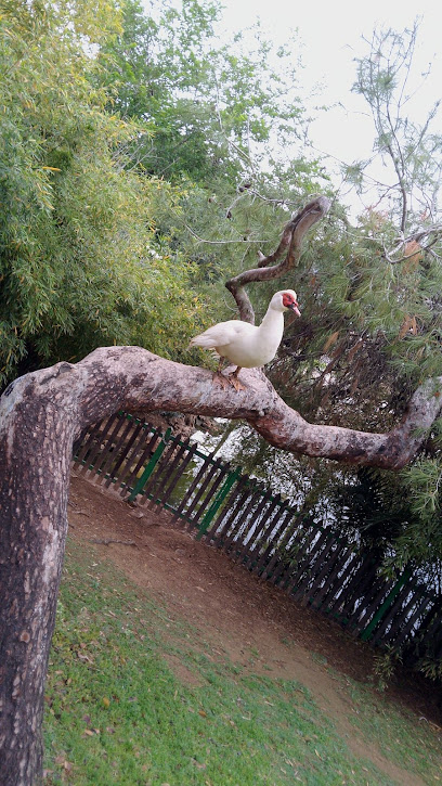 Imagen de Parque situado en L'Eliana, Valencia