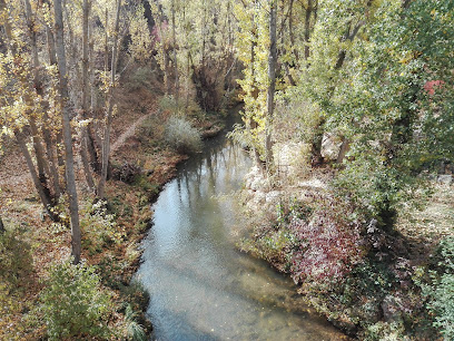 Imagen de Parque La Isla situado en Aranda de Duero, Burgos