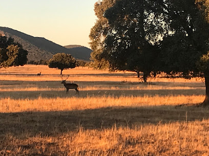 Imagen de Parque Nacional de Cabañeros situado en Horcajo de los Montes, Ciudad Real