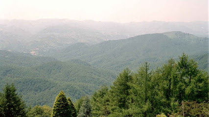 Imagen de Parque Natural Señorío de Bértiz situado en Oieregi, Navarra