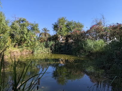 Imagen de Parque Público Hort de la Bosca situado en Oliva, Valencia