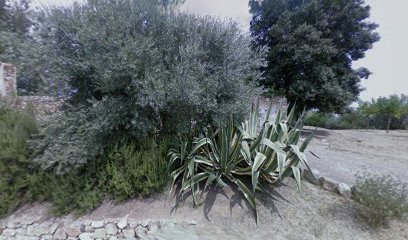 Imagen de Parque situado en Riells i Viabrea, Girona