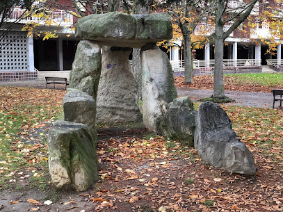 Imagen de Parque biosaludable mayores Txagorritxu situado en Vitoria-Gasteiz, Álava