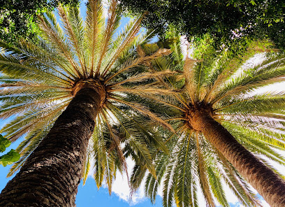 Imagen de Parque de Las Flores situado en Arucas, Las Palmas