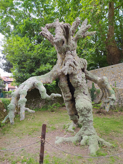 Imagen de Parque de Revolgo situado en Santillana del Mar, Cantabria