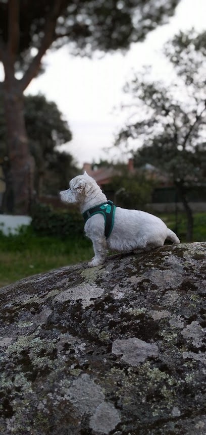 Imagen de Parque de San Roque situado en Torrelodones, Madrid