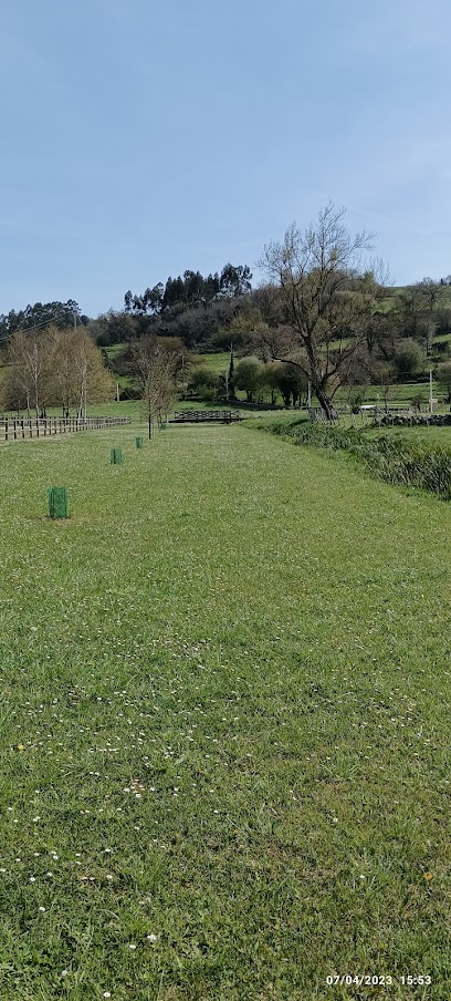 Imagen de Parque de Tarriba situado en Tarriba, Cantabria