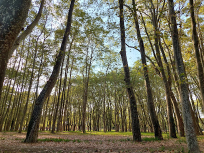 Imagen de Parque de la Devesa situado en Girona, Girona