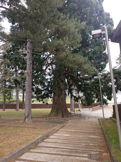 Imagen de Parque de la Memoria Histórica situado en Olazti/Olazagutía, Navarra