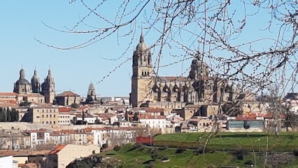 Imagen de Parque de las Musas situado en Salamanca, Salamanca