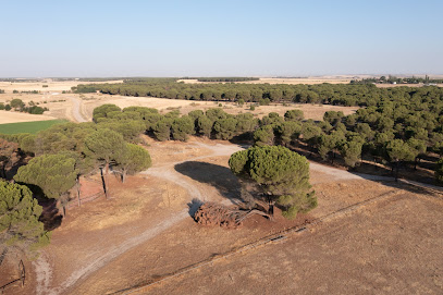 Imagen de Parque de las Salinas situado en Medina del Campo, Valladolid