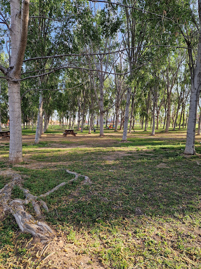 Imagen de Parque del Agua situado en Lleida, Lérida