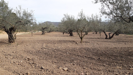 Imagen de Parque del Barrio situado en Caudiel, Castellón