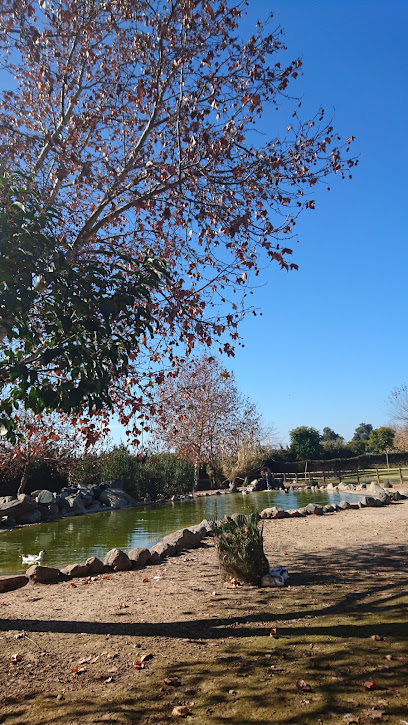 Imagen de Parque del Bodegón situado en Brenes, Sevilla, Sevilla