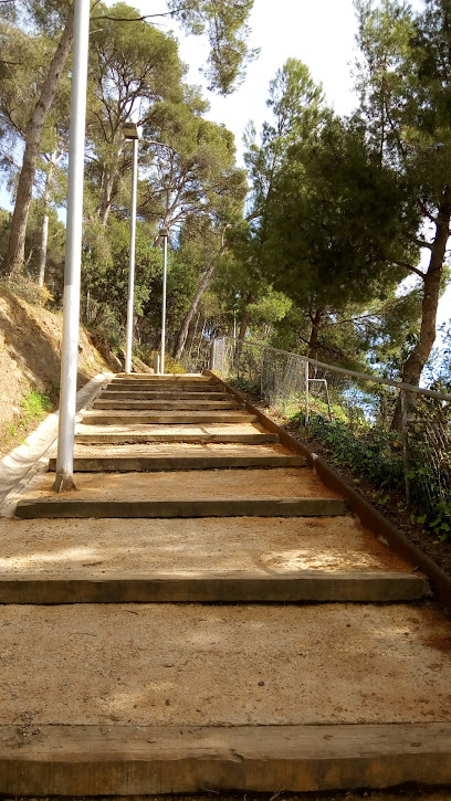 Imagen de Parque del Milenario situado en Sant Just Desvern, Barcelona