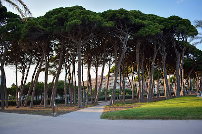 Imagen de Parque del Pinar del Perruquet situado en La Pineda, Tarragona