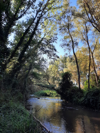 Imagen de Parque del río de Corbins situado en Corbins, Lleida