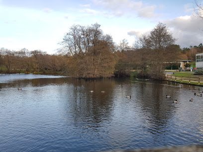 Imagen de Parque do Pontiñas situado en Lalín, Pontevedra