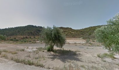 Imagen de Parque infantil Circuito de Caballos situado en Ascó, Tarragona