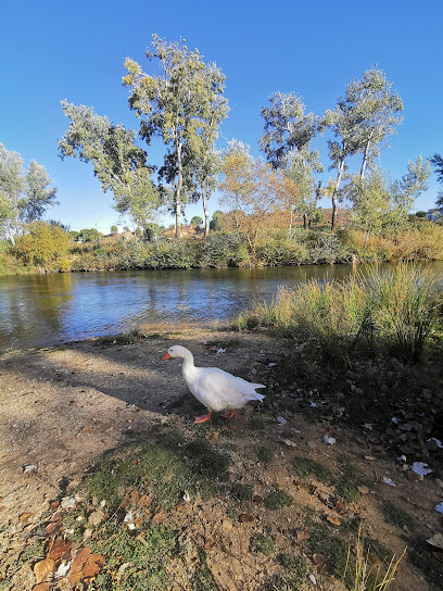 Imagen de Parque infantil situado en El Picazo, Cuenca