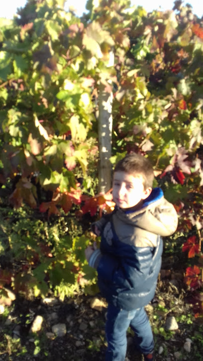 Imagen de Parque infantil La Estación situado en Briones, La Rioja