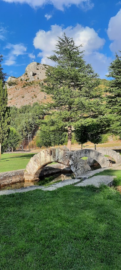 Imagen de Parque infantil "La Reana" situado en Velilla del Río Carrión, Palencia