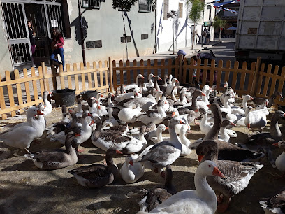 Imagen de Parque infantil situado en Montroi, Valencia