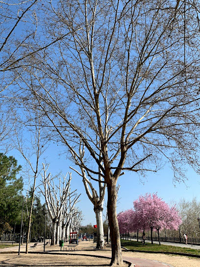 Imagen de Parque infantil Ronda del Cañillo situado en Talavera de la Reina, Toledo