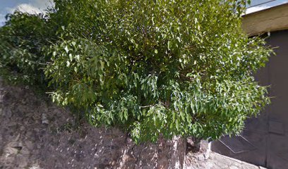 Imagen de Parque infantil situado en Sant Martí Vell, Girona