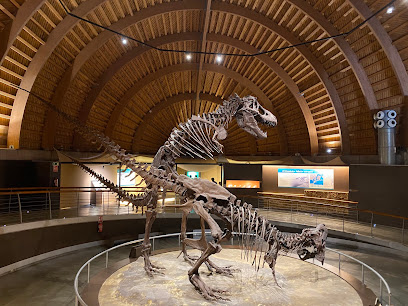 Imagen de Parque infantil museo Jurasico de Asturias situado en Colunga, Asturias