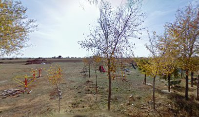 Imagen de Parque infantil y zona de ejercicio situado en San Andrés del Rey, Guadalajara