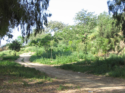 Imagen de Parque municipal de los Manantiales Gelves situado en Gelves, Sevilla