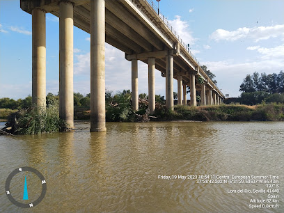 Imagen de Paseo El Muro situado en Lora del Río, Sevilla